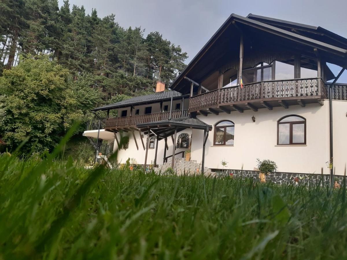 Villa Casa Dintre Pini à Păltinoasa Extérieur photo