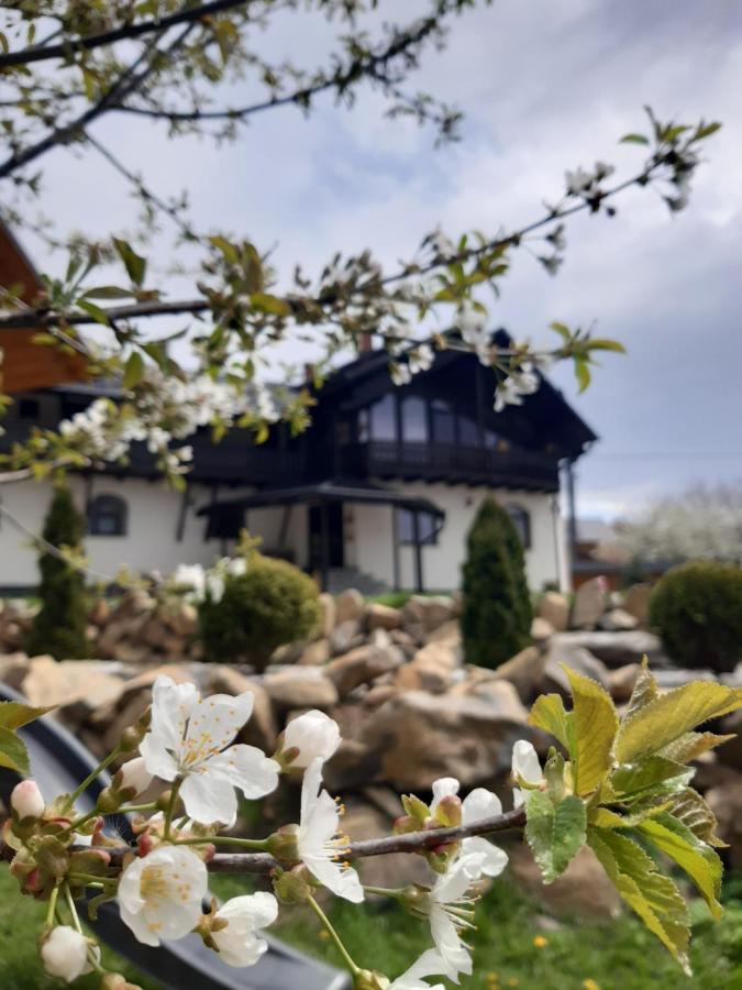 Villa Casa Dintre Pini à Păltinoasa Extérieur photo