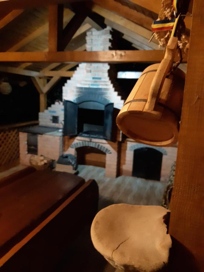 Villa Casa Dintre Pini à Păltinoasa Extérieur photo