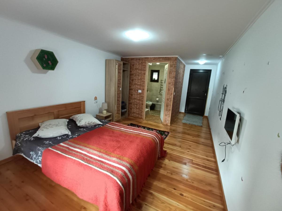 Villa Casa Dintre Pini à Păltinoasa Extérieur photo