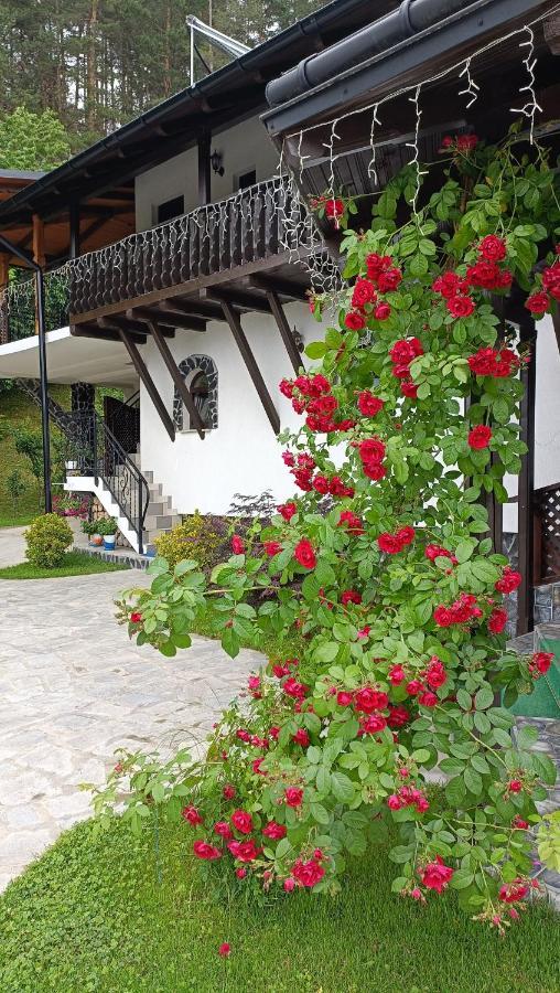 Villa Casa Dintre Pini à Păltinoasa Extérieur photo